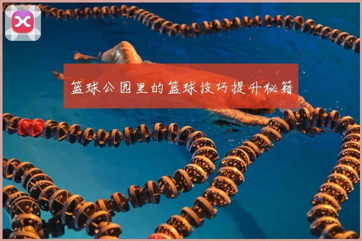 篮球公园里的篮球技巧提升秘籍