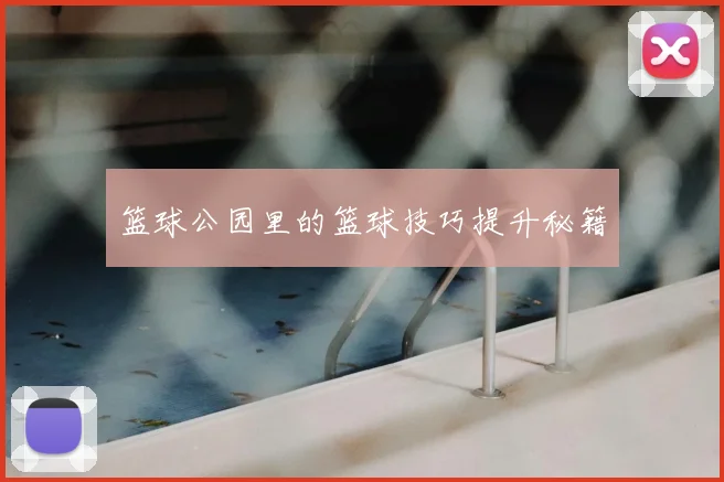 篮球公园里的篮球技巧提升秘籍