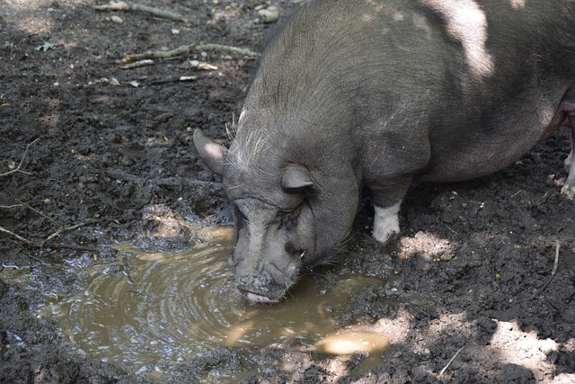 现出无与伦 现出无与伦
