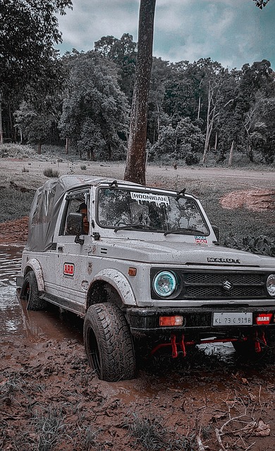 领先优势 领先优势